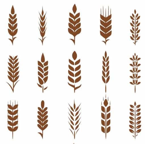 El gluten en los enfermos celiacos